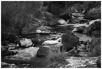 Stream in winter. Rio Grande Del Norte National Monument, New Mexico, USA ( black and white)