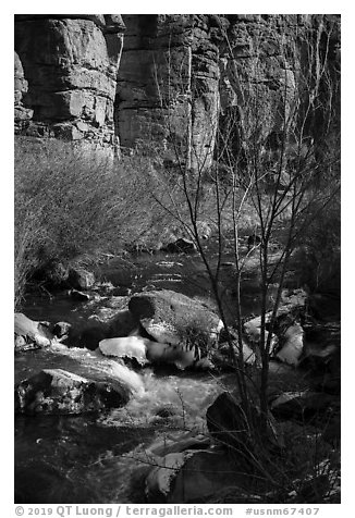 Rio Hondo and cliffs. Rio Grande Del Norte National Monument, New Mexico, USA (black and white)