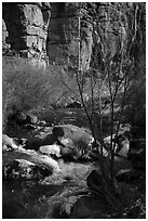 Rio Hondo and cliffs. Rio Grande Del Norte National Monument, New Mexico, USA ( black and white)