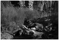 Rio Hondo in winter. Rio Grande Del Norte National Monument, New Mexico, USA ( black and white)
