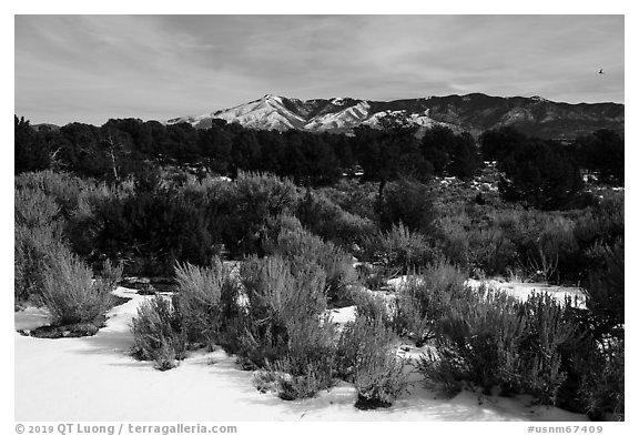 Cebolla Mesa and Sangre De Cristo Mountains in winter. Rio Grande Del Norte National Monument, New Mexico, USA (black and white)