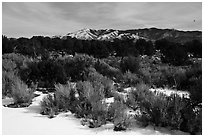 Cebolla Mesa and Sangre De Cristo Mountains in winter. Rio Grande Del Norte National Monument, New Mexico, USA ( black and white)