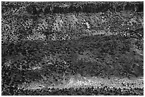 Rio Grande Gorge walls with dusting of snow. Rio Grande Del Norte National Monument, New Mexico, USA ( black and white)