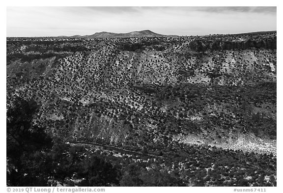 Rio Grande Gorge from Cebolla Mesa. Rio Grande Del Norte National Monument, New Mexico, USA (black and white)