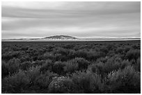 Taos Plateau and San Antonio Mountain. Rio Grande Del Norte National Monument, New Mexico, USA ( black and white)