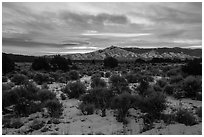 Sangre de Cristo Mountains, winter sunrise. Rio Grande Del Norte National Monument, New Mexico, USA ( black and white)