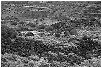 Volcanic rocks and cliffs, Lower Gorge. Rio Grande Del Norte National Monument, New Mexico, USA ( black and white)