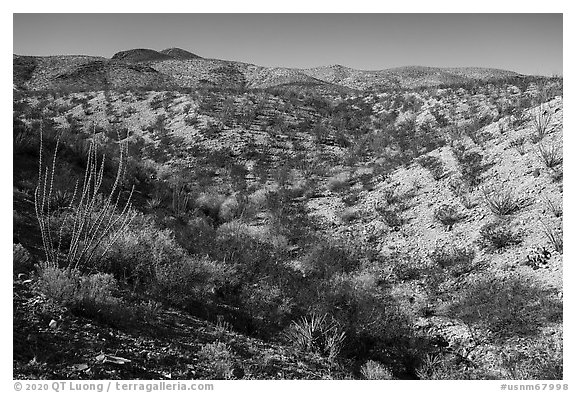 Robledo Mountains, Prehistoric Trackways National Monument. Organ Mountains Desert Peaks National Monument, New Mexico, USA