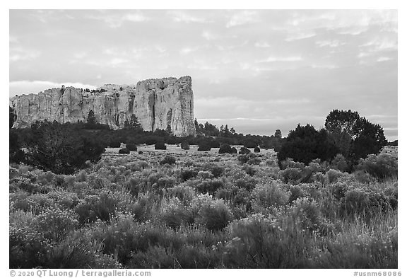 Sage and sandstone cuesta. El Morro National Monument, New Mexico, USA (black and white)