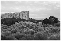 Sage and sandstone cuesta. El Morro National Monument, New Mexico, USA ( black and white)