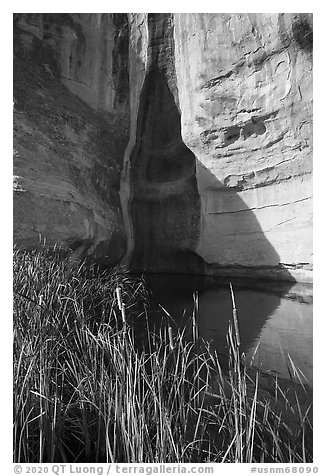 Pool at the base of cliff. El Morro National Monument, New Mexico, USA