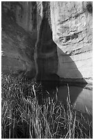 Pool at the base of cliff. El Morro National Monument, New Mexico, USA ( black and white)