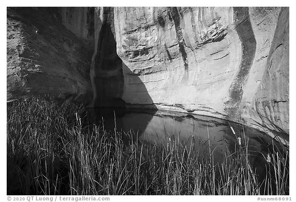Water pool. El Morro National Monument, New Mexico, USA (black and white)
