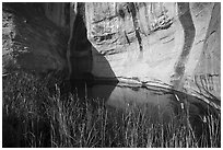 Water pool. El Morro National Monument, New Mexico, USA ( black and white)