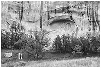 Cliff with water spillway marks. El Morro National Monument, New Mexico, USA ( black and white)