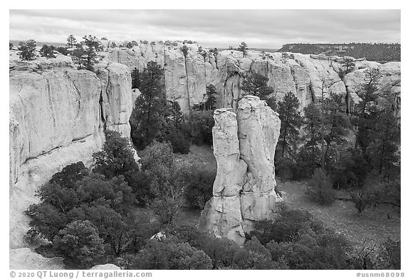 Monolith in box canyon. El Morro National Monument, New Mexico, USA