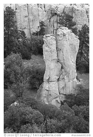 Sandstone monolith. El Morro National Monument, New Mexico, USA (black and white)