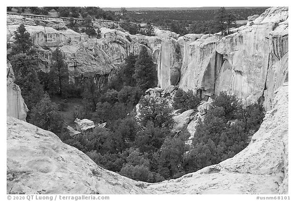 Box canyon. El Morro National Monument, New Mexico, USA (black and white)