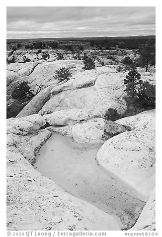 Rainwater pool on bluff. El Morro National Monument, New Mexico, USA (black and white)