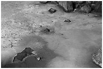 Green ice and rocks, Zuni Ice Cave. El Malpais National Monument, New Mexico, USA ( black and white)