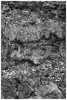 Lava cliff with tube entrance. El Malpais National Monument, New Mexico, USA ( black and white)