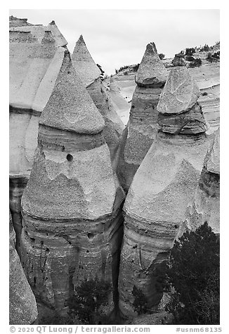 Pumice, ash, and tuff cone rock formations. Kasha-Katuwe Tent Rocks National Monument, New Mexico, USA (black and white)