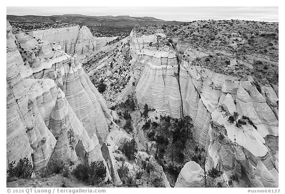 Peralta Canyon. Kasha-Katuwe Tent Rocks National Monument, New Mexico, USA (black and white)