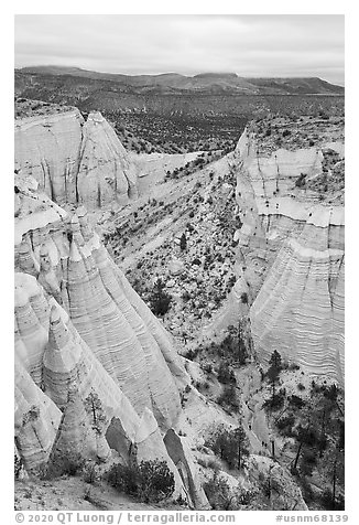 Tent rocks bordering Peralta Canyon. Kasha-Katuwe Tent Rocks National Monument, New Mexico, USA (black and white)