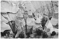 Tent rocks and trees in gorge. Kasha-Katuwe Tent Rocks National Monument, New Mexico, USA ( black and white)