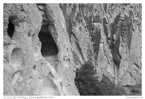Caves in volcanic tuff rock. Bandelier National Monument, New Mexico, USA (black and white)