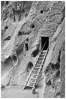 Ladder leading to cave dwelling. Bandelier National Monument, New Mexico, USA ( black and white)