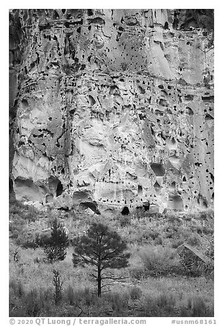 Cliff with cavates, Frijoles Canyon. Bandelier National Monument, New Mexico, USA
