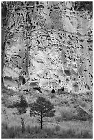 Cliff with cavates, Frijoles Canyon. Bandelier National Monument, New Mexico, USA ( black and white)