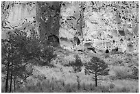 Cliff with cave dwellings rising from Frijoles Canyon. Bandelier National Monument, New Mexico, USA ( black and white)