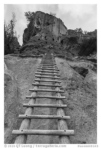 Tall ladder leading to Alcove House. Bandelier National Monument, New Mexico, USA (black and white)