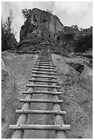 Tall ladder leading to Alcove House. Bandelier National Monument, New Mexico, USA ( black and white)