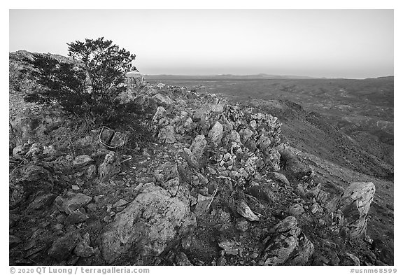 Picacho Mountain summit at dawn. Organ Mountains Desert Peaks National Monument, New Mexico, USA (black and white)