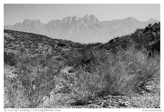 Organ Mountains from Box Canyon. Organ Mountains Desert Peaks National Monument, New Mexico, USA