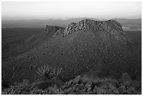 Sotol, Dona Ana mountains at sunset. Organ Mountains Desert Peaks National Monument, New Mexico, USA ( black and white)