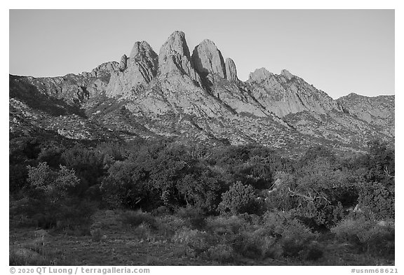 Chihuanhan desert shurbs and Rabbit Ears. Organ Mountains Desert Peaks National Monument, New Mexico, USA (black and white)