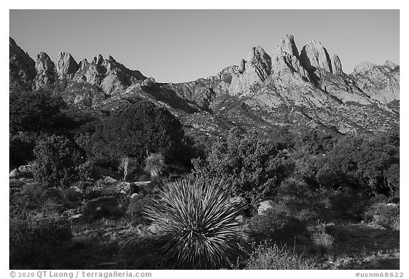 Rabbit Ears and the Needles from Aguirre Springs. Organ Mountains Desert Peaks National Monument, New Mexico, USA (black and white)