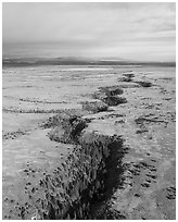 Aerial view of Rio San Antonio. Rio Grande Del Norte National Monument, New Mexico, USA ( black and white)