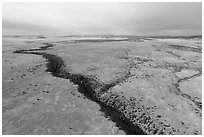 Aerial view of San Antonio Rio and Pinabetal Mesa. Rio Grande Del Norte National Monument, New Mexico, USA ( black and white)