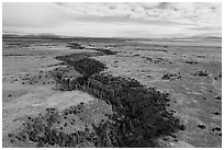 Aerial view of Rio San Antonio Gorge. Rio Grande Del Norte National Monument, New Mexico, USA ( black and white)