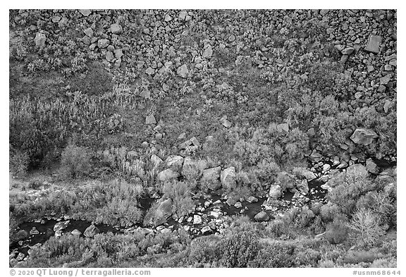 Rio Pueblo de Taos with fall foliage from above. Rio Grande Del Norte National Monument, New Mexico, USA (black and white)