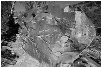 Boulder with petroglyphs, Big Arsenic. Rio Grande Del Norte National Monument, New Mexico, USA ( black and white)