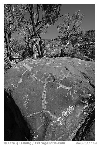 Boulder with large human figure petroglyphs. Rio Grande Del Norte National Monument, New Mexico, USA (black and white)