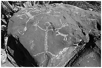 Large human figure petroglyphs on top of bouder, Big Arsenic. Rio Grande Del Norte National Monument, New Mexico, USA ( black and white)