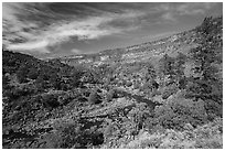 Big Arsenic Spring area. Rio Grande Del Norte National Monument, New Mexico, USA ( black and white)