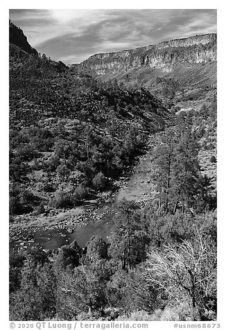 Rio Grande River and Big Arsenic Spring area. Rio Grande Del Norte National Monument, New Mexico, USA (black and white)